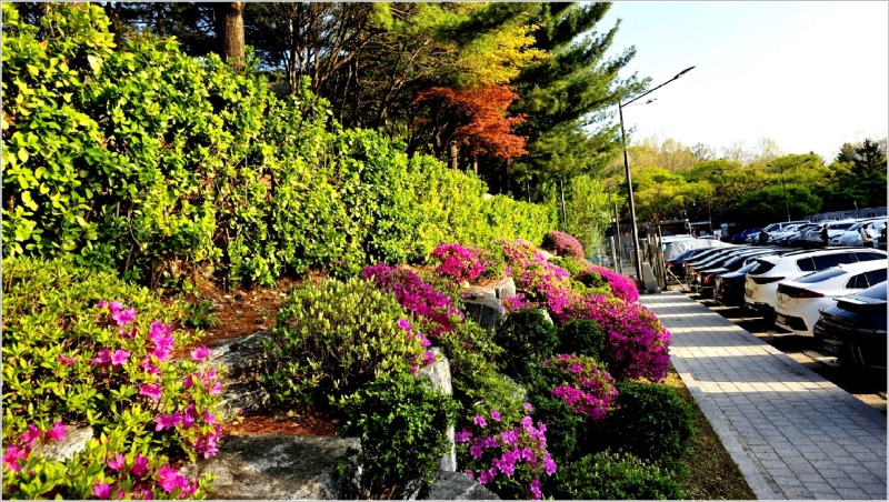 용마폭포 (12).jpg
