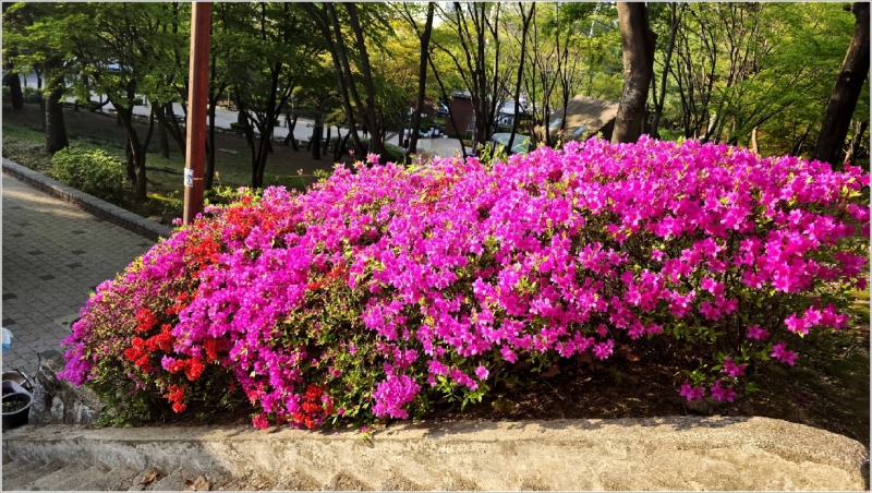 용마폭포 (17).jpg