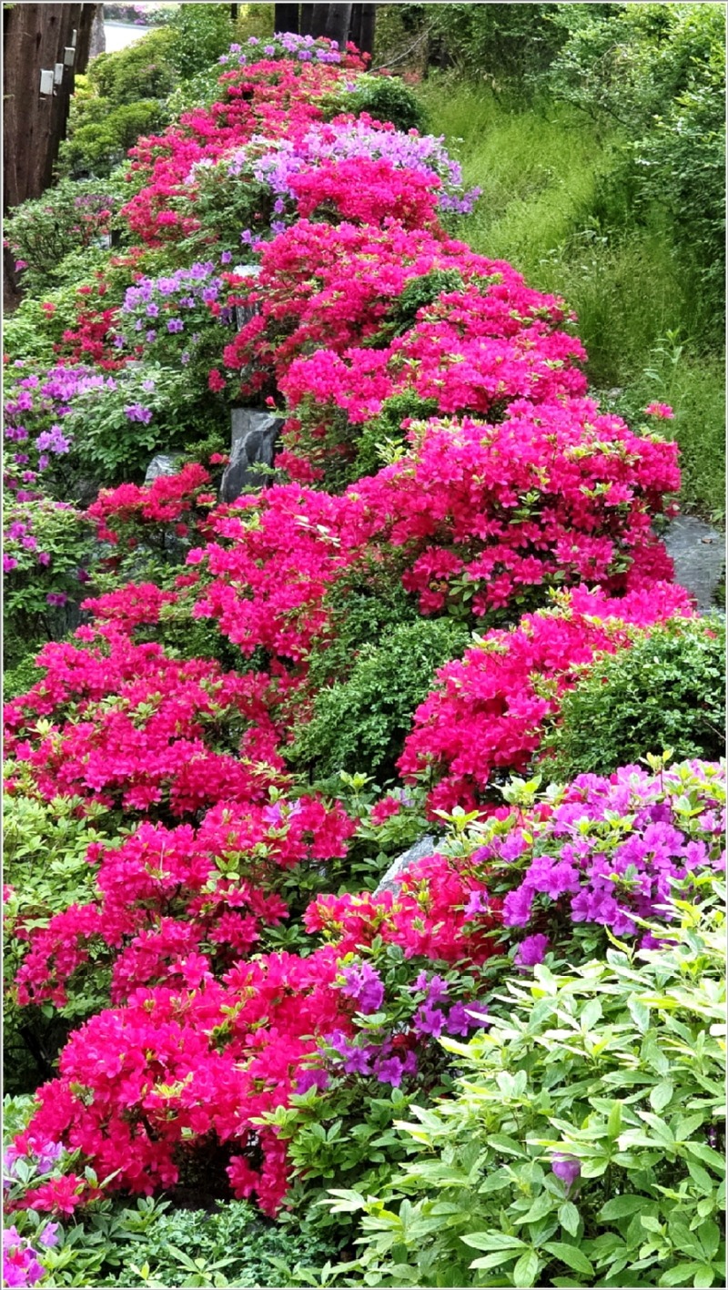용마폭포 (38).jpg